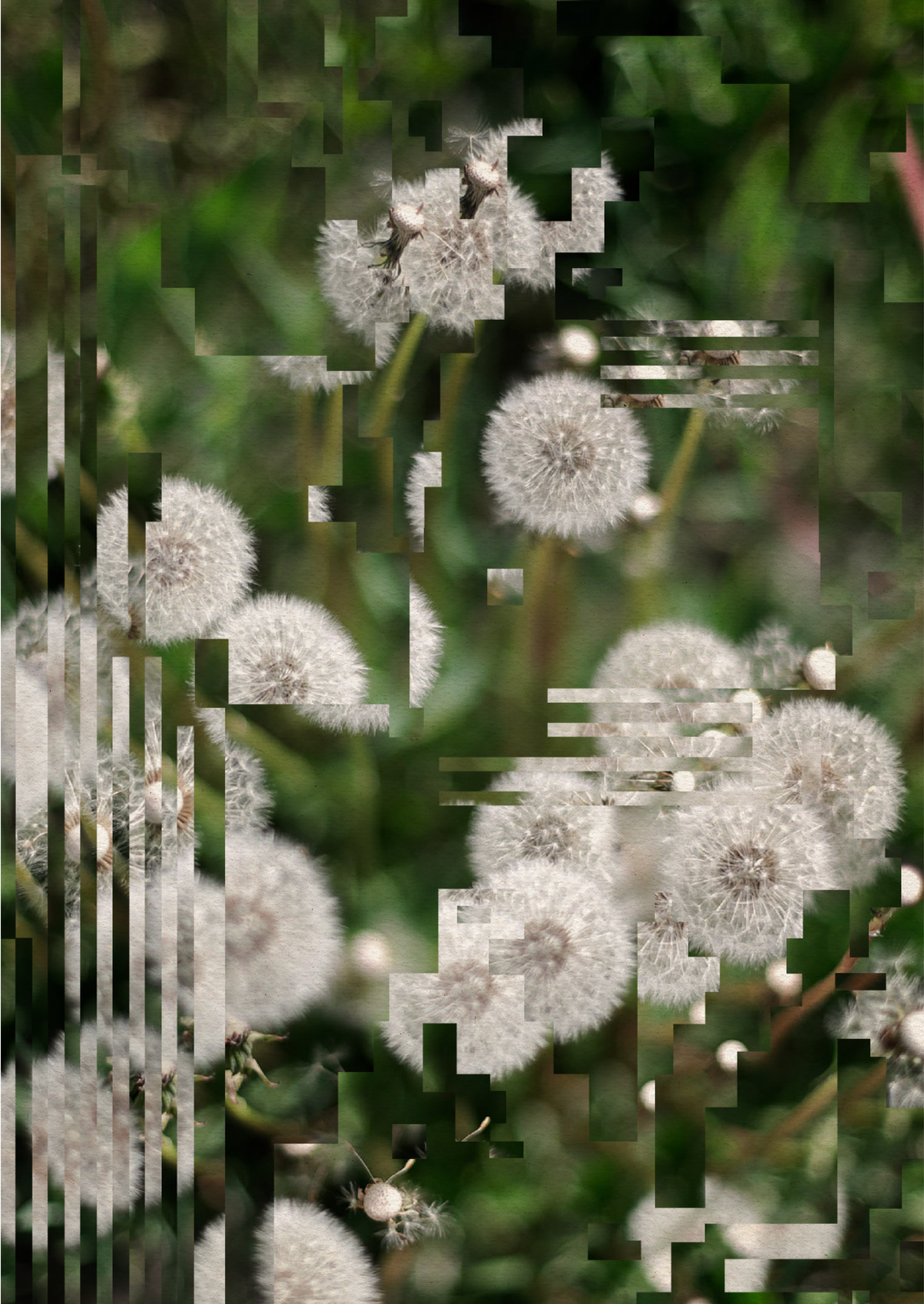 AI Generated Art